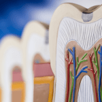 0806 Capa A importância do combate às infecções endodônticas  min