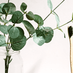 Odontologia e Sustentabilidade