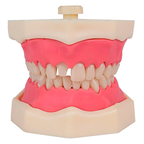 Manequim Odontológico - materiais dentários