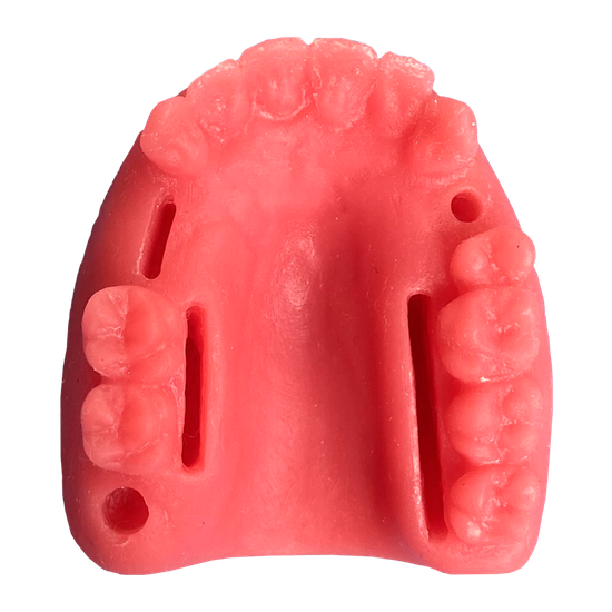 Manequim Odontológico para técnicas cirurgicas