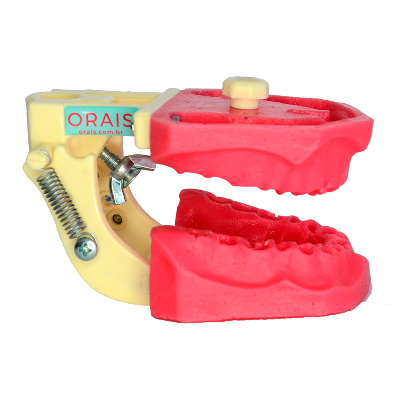 Manequim Odontológico para endodontia