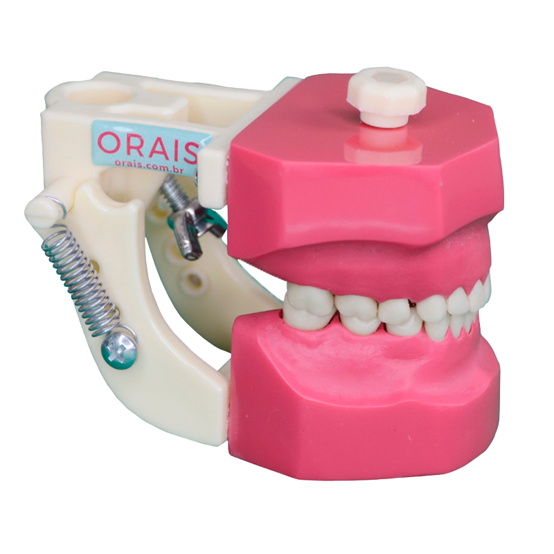 Manequim Odontológico para odontopediatria