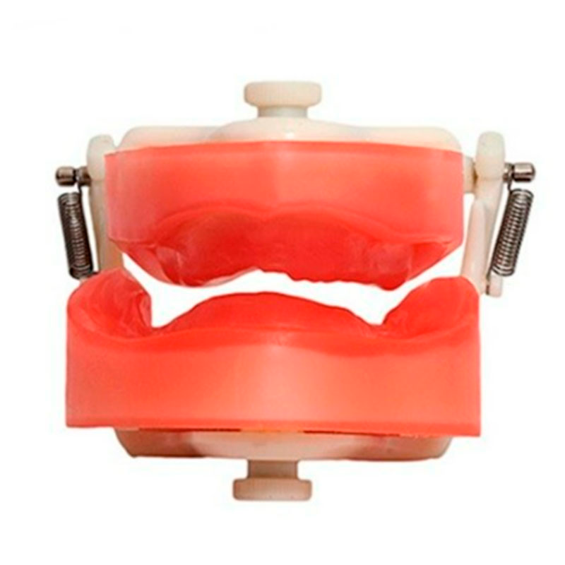 Manequim Odontológico para prótese total