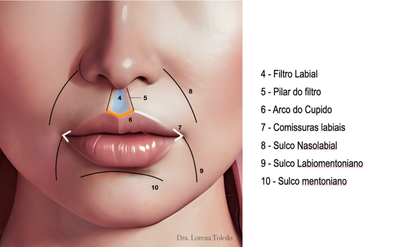 Ilustração anatômica da boca com marcações numeradas indicando partes como filtro labial, pilar do filtro, arco do cupido, comissuras labiais, sulco nasolabial, sulco labiomentoniano e sulco mentoniano.
